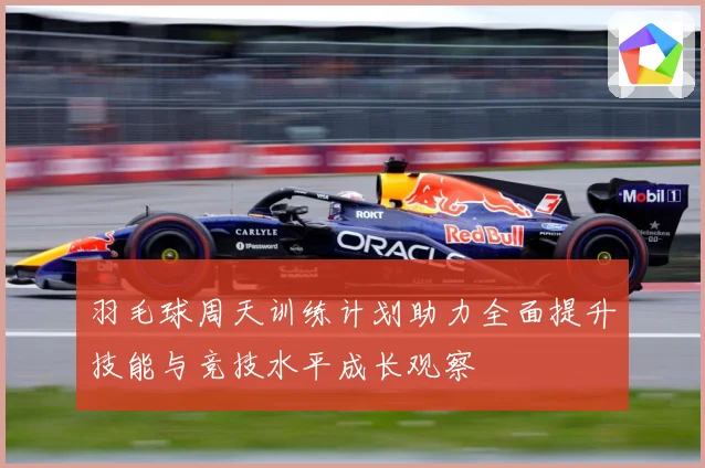 羽毛球周天训练计划助力全面提升技能与竞技水平成长观察
