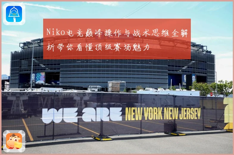 Niko电竞巅峰操作与战术思维全解析带你看懂顶级赛场魅力