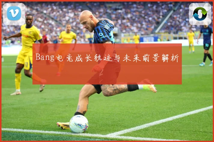 Bang电竞成长轨迹与未来前景解析