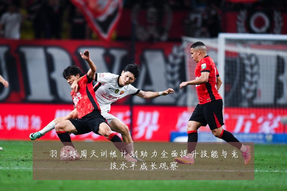 羽毛球周天训练计划助力全面提升技能与竞技水平成长观察