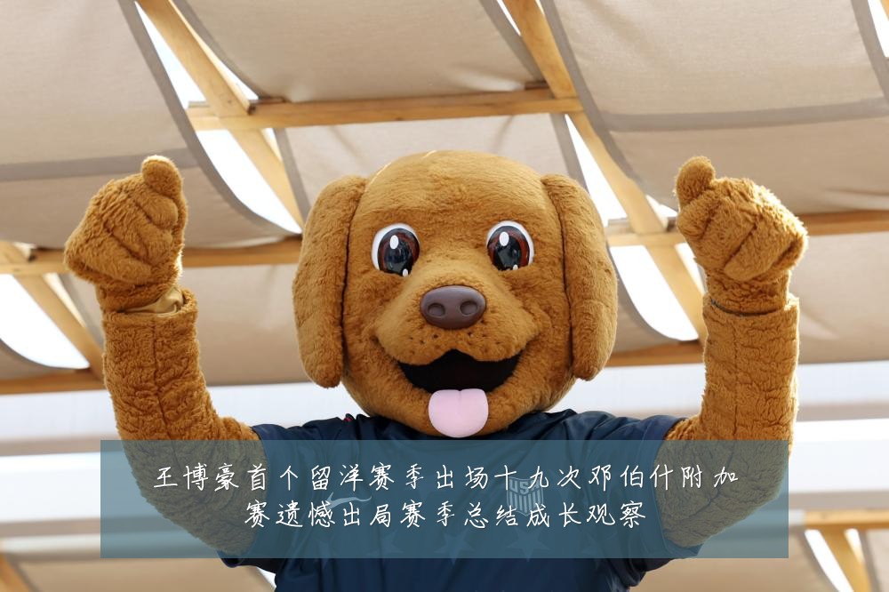 王博豪首个留洋赛季出场十九次邓伯什附加赛遗憾出局赛季总结成长观察